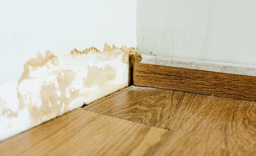 Umidità nei muri: quando è un problema strutturale e non estetico